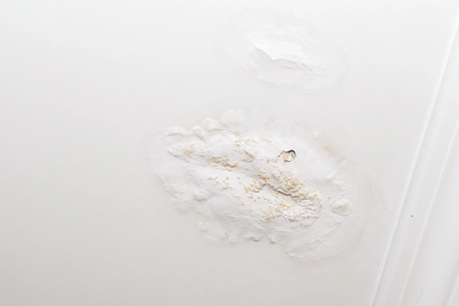Why Drywall Patching Is Essential For Home Maintenance in Lynnwood, WA